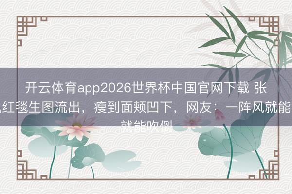 开云体育app2026世界杯中国官网下载 张子枫红毯生图流出，瘦到面颊凹下，网友：一阵风就能吹倒