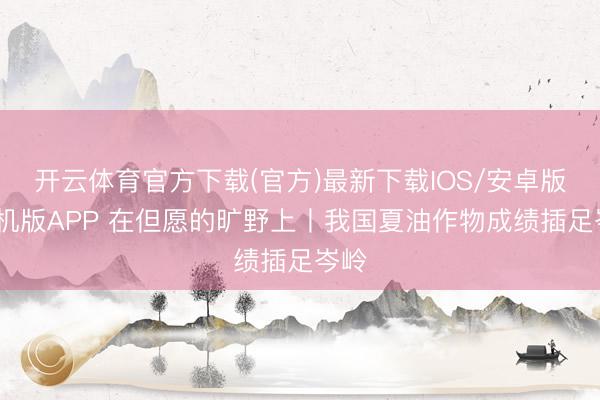 开云体育官方下载(官方)最新下载IOS/安卓版/手机版APP 在但愿的旷野上丨我国夏油作物成绩插足岑岭